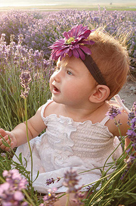 baby-in-lavender-field.jpg