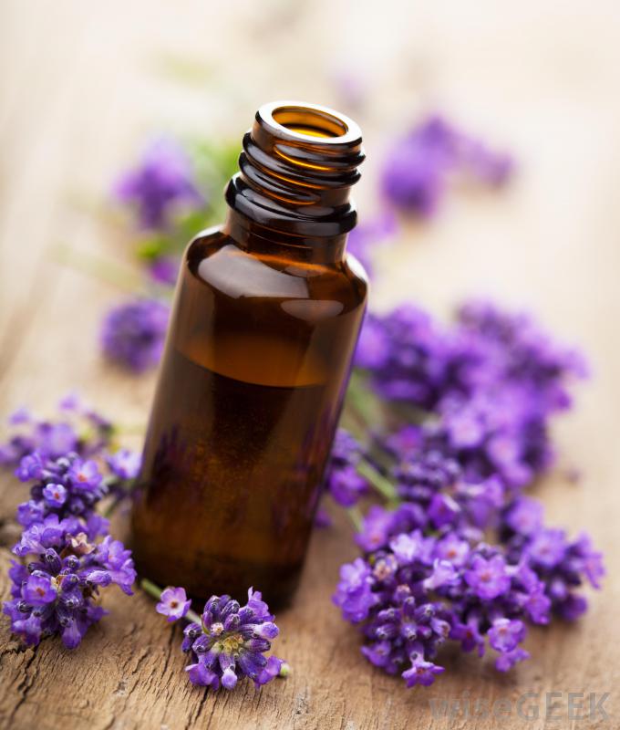 lavender-essential-oil.jpg