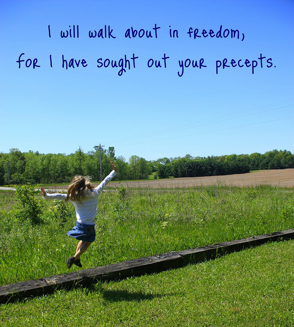 a walk to freedom